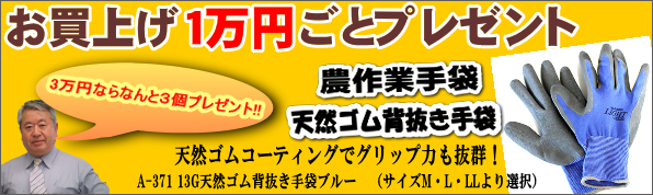 農薬通販 Jp シグナムwdg 333g 10 000円以上購入で送料0円 安心価格 です